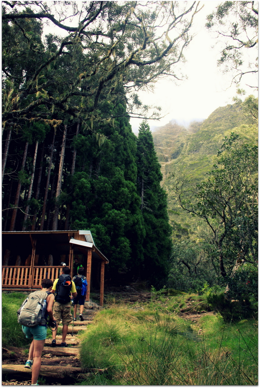 Piton_des_neiges / Path