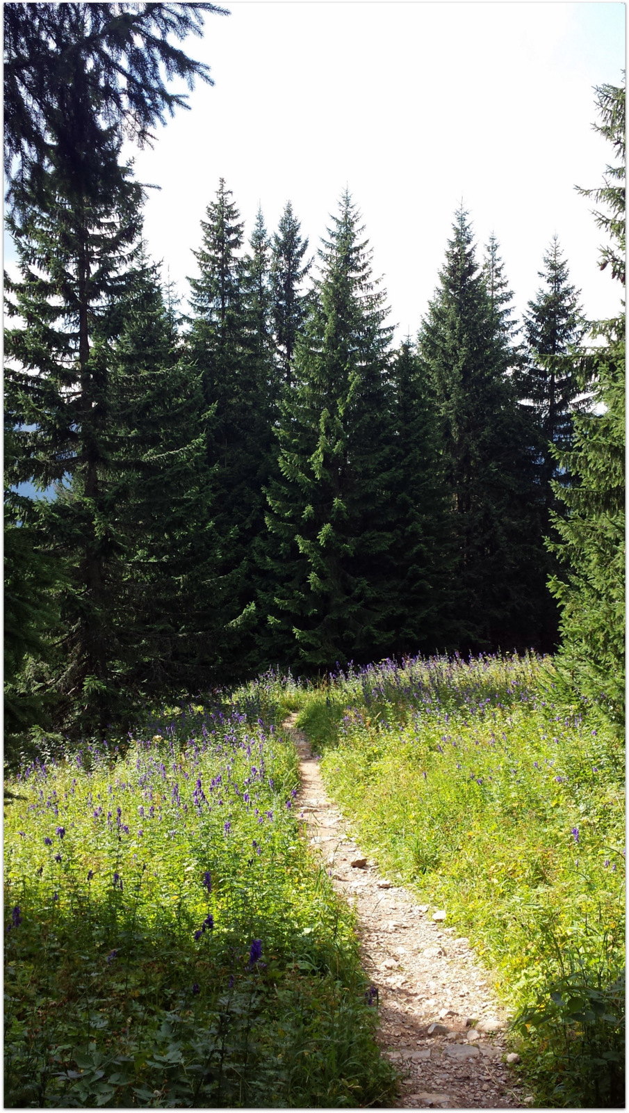 Tatra Mountains – summer path