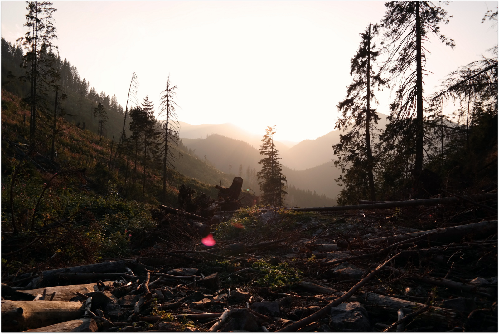 Sunset View on Chocholowska valley