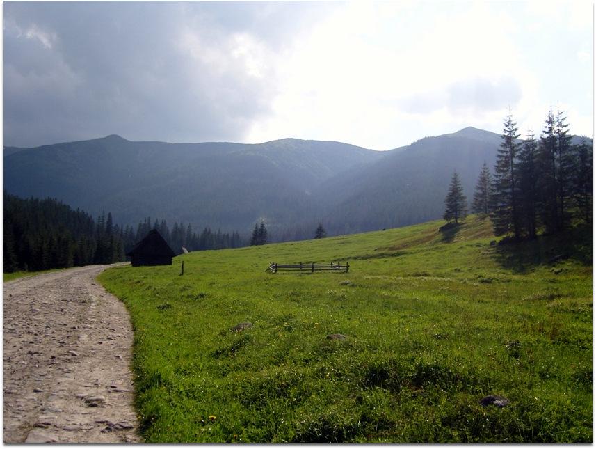 Chochołowska Valley