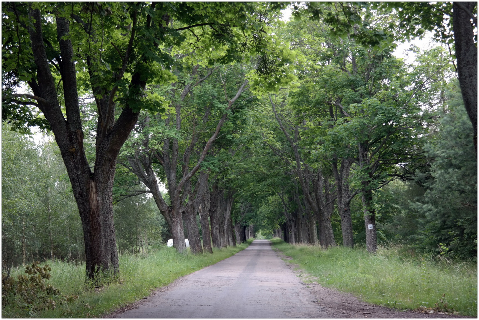 Warmia – Road