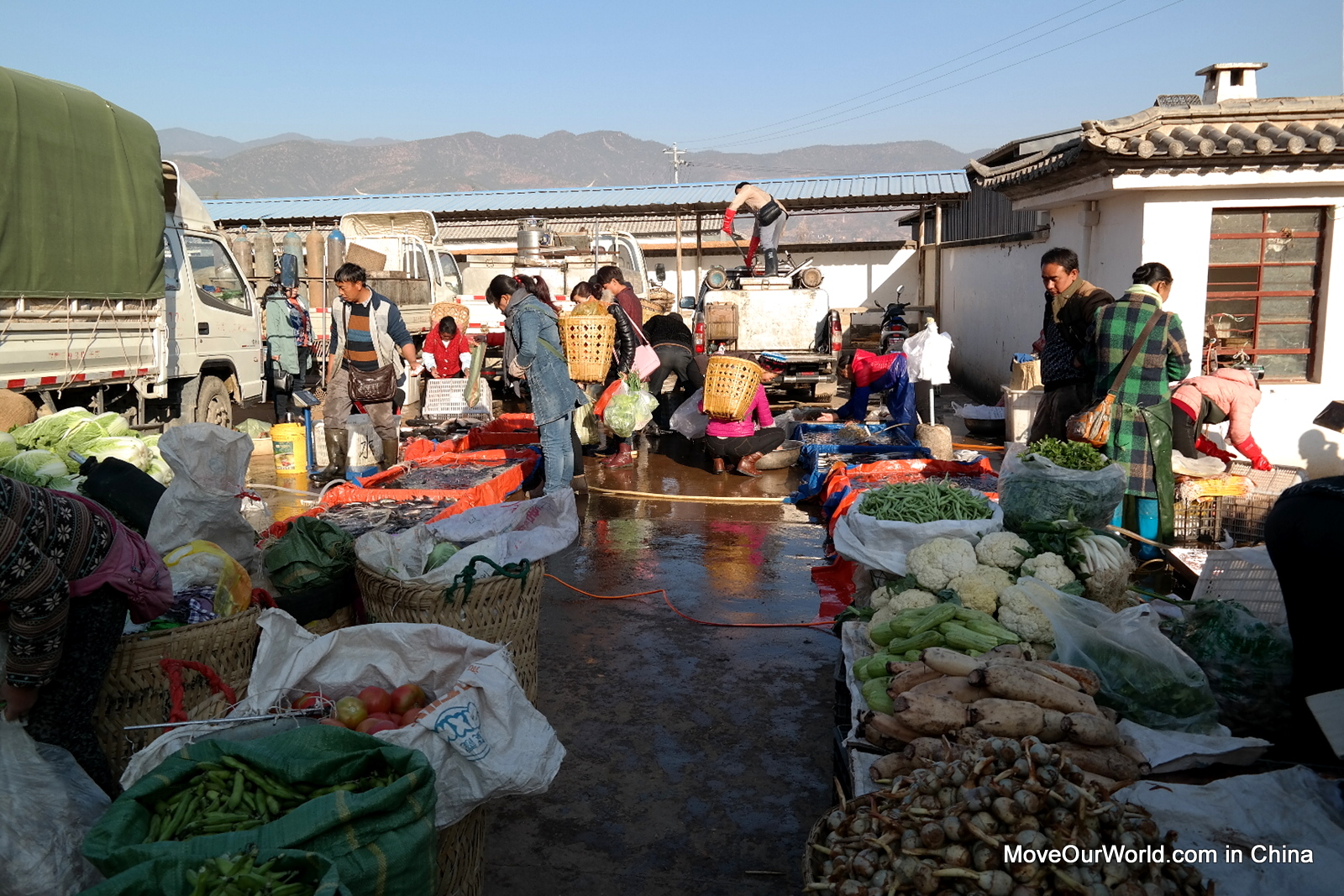 Shaxi Market Shaxi Market