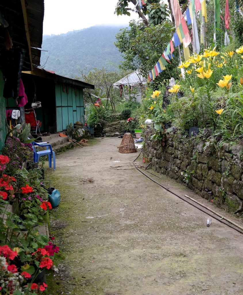 Move Our World – Sikkim – Smile Panda Tours