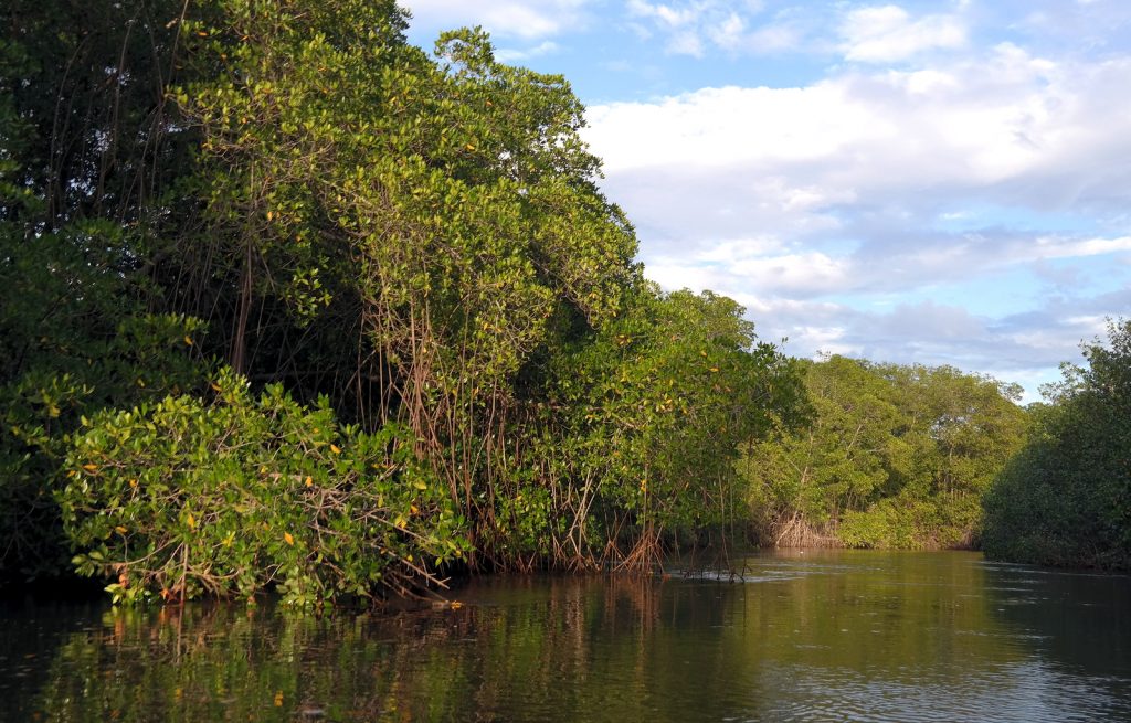 Move Our World - Nicaragua - Las Penitas