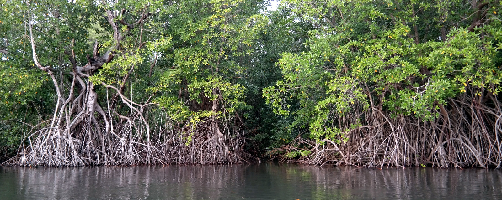 Move Our World - Nicaragua - Las Penitas