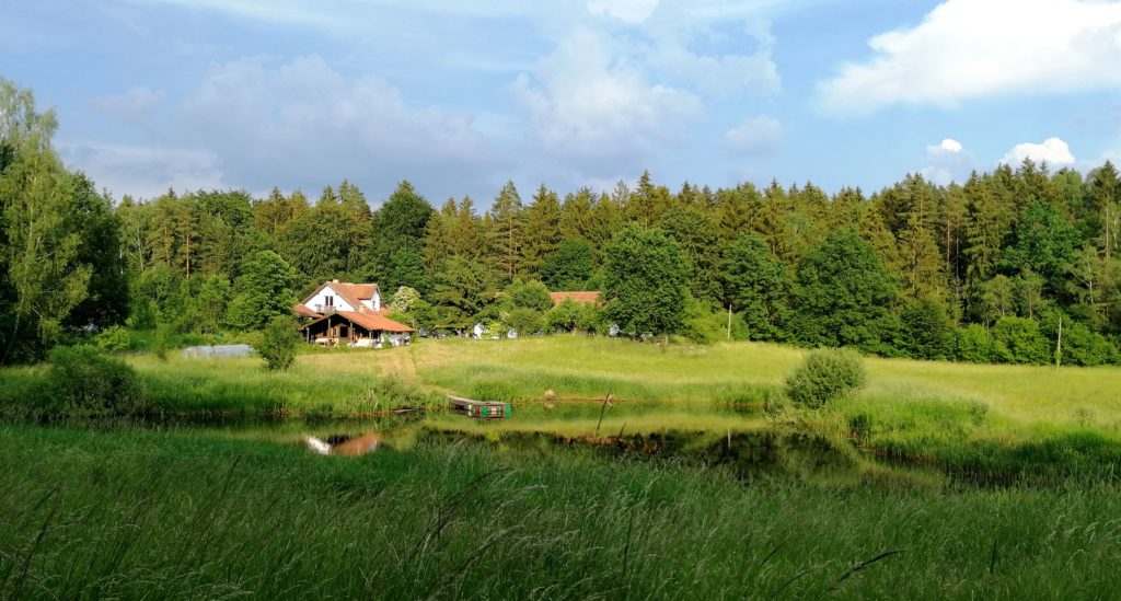 siedlisko-Olsztyn-Warmia-pokoje-las